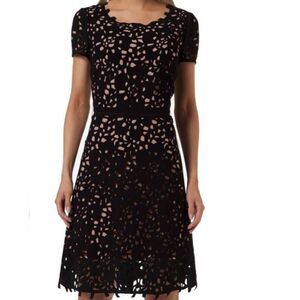 Focus by Shani Fit and Flare Dress  Size 6 Laser Cut Lace